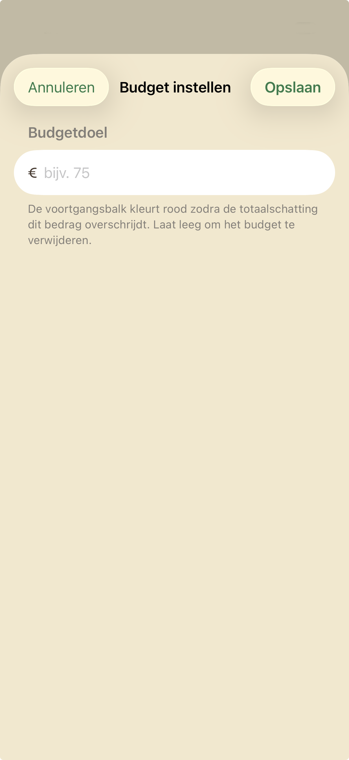 Budget instellen op boodschappenlijst