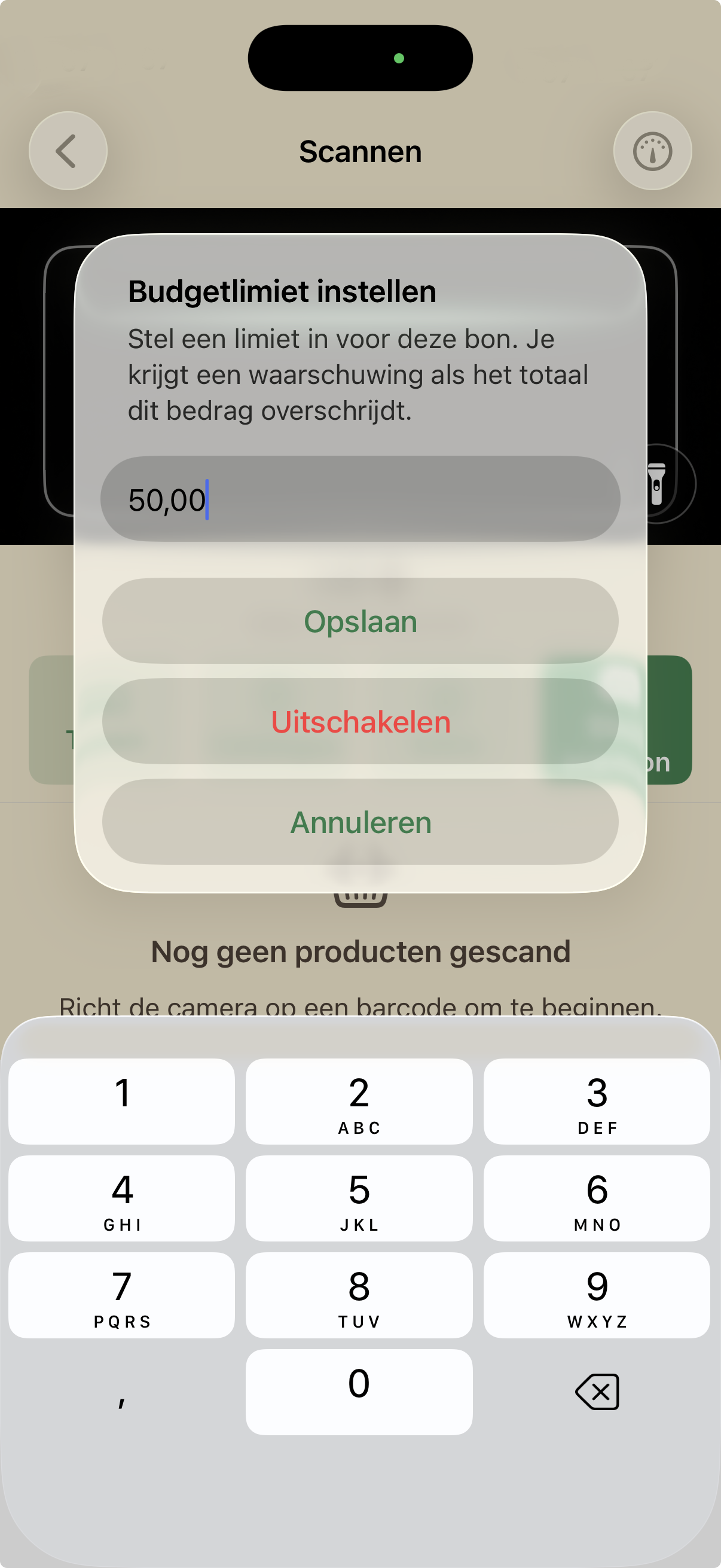 Budgetlimiet instellen